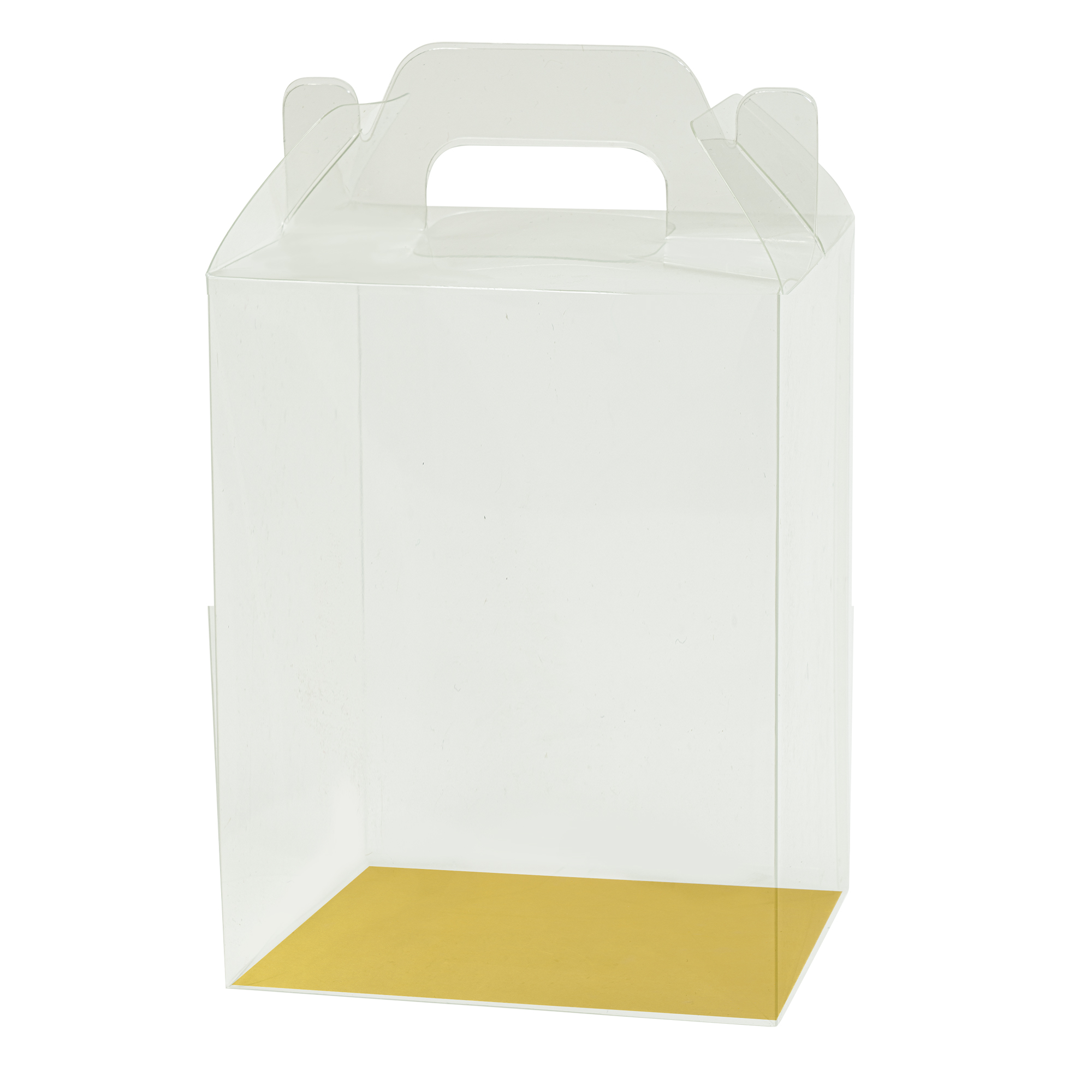 PVC Gift Box With Gold, Silver and White Paper Insert 6pc/pack