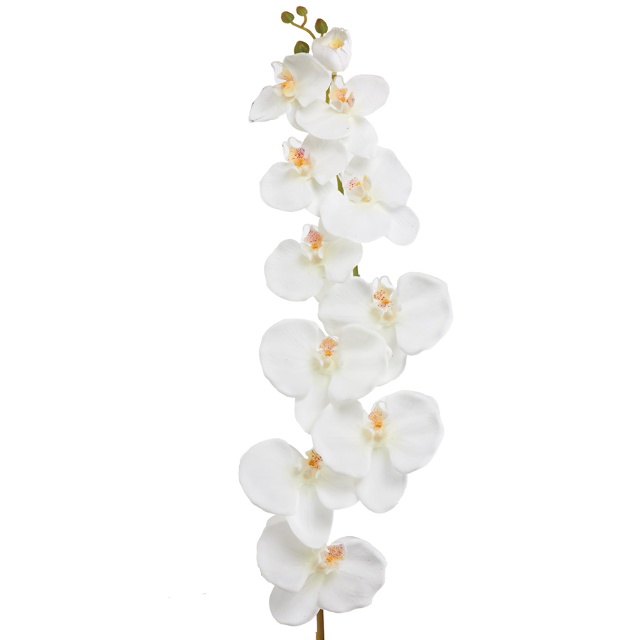 Phalaenopsis Faux Orchid Spray 50&quot; - White