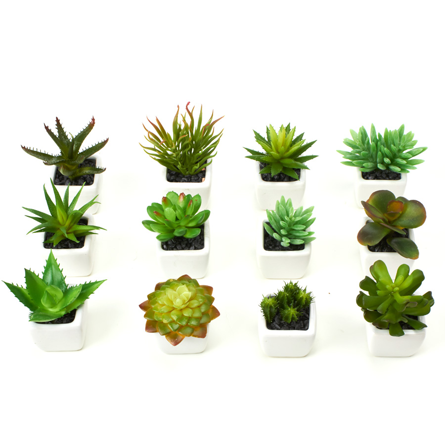 Artificial Assorted Potted Succulents 1¾" 12pc/set - Green