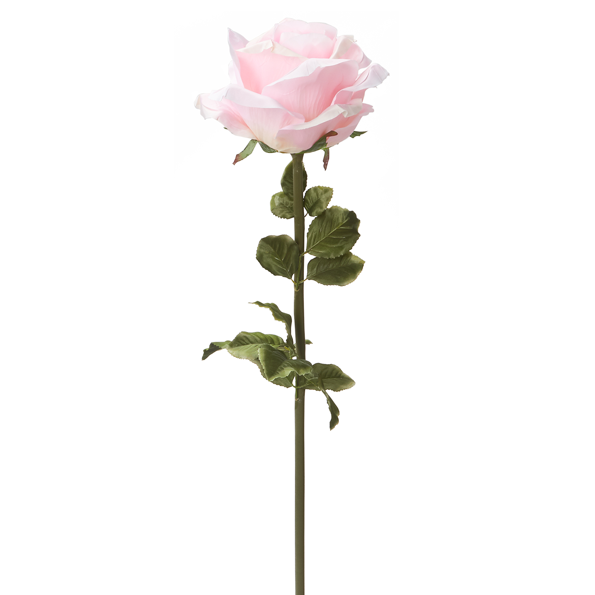 Jumbo Rose 42½" - Pink