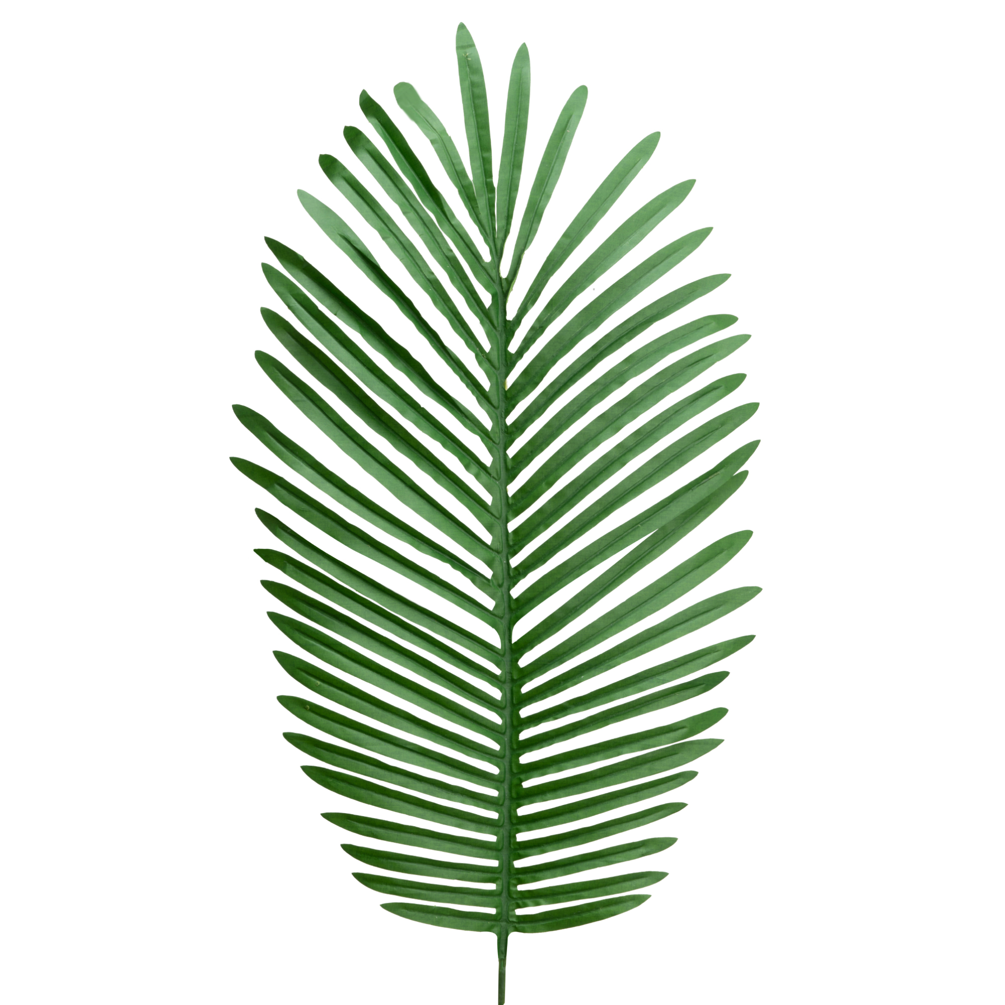 Artificial Feather Palm Leaves 21" - Light Green