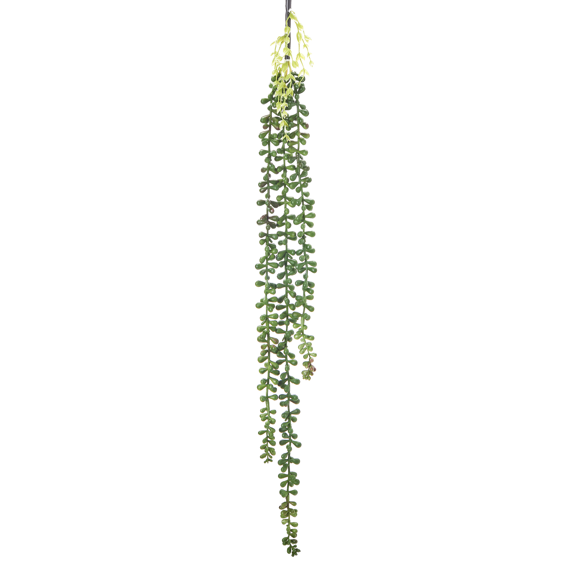 Artificial String of Pearls Succulent Pick