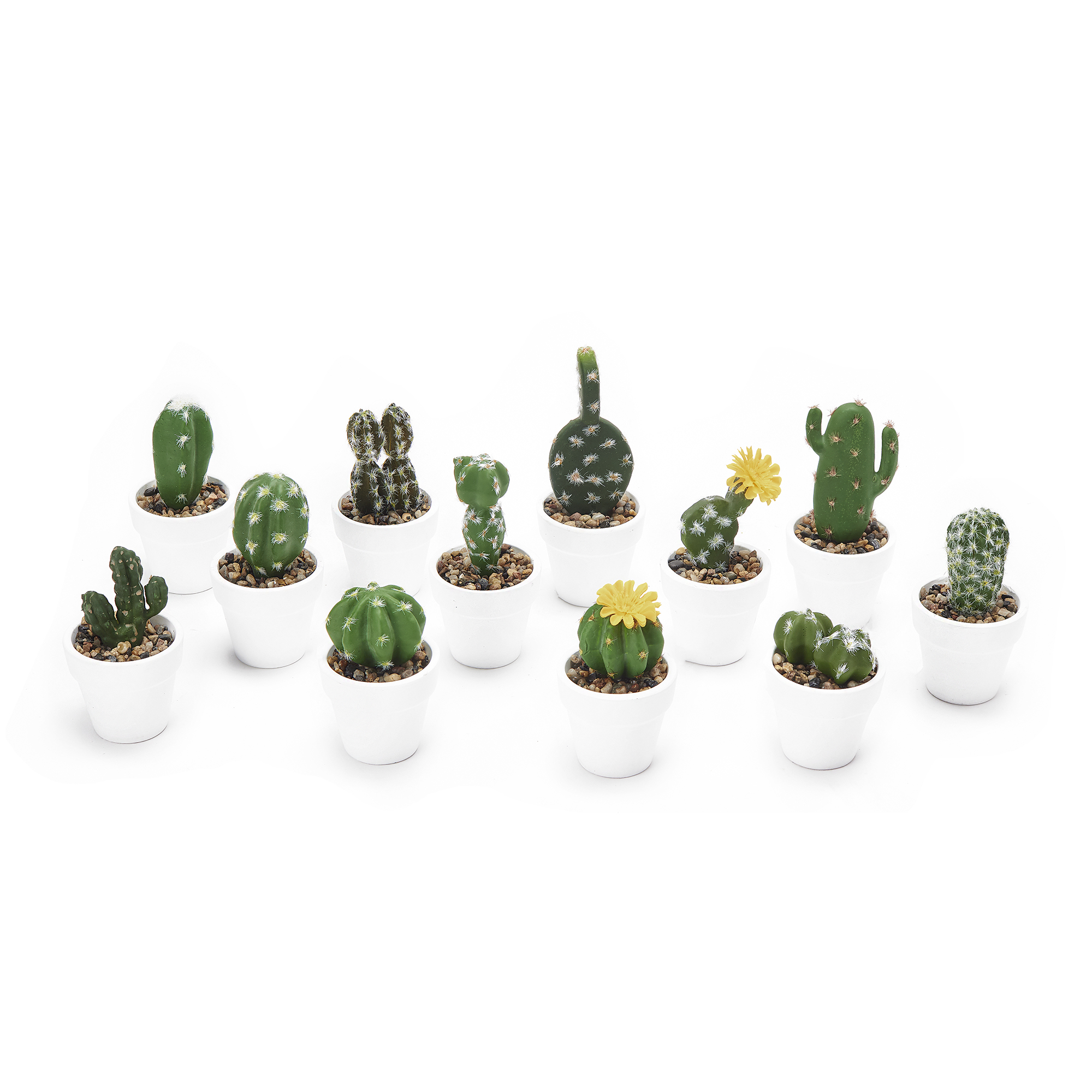 Artificial Assorted Potted Cactus 12pc/set