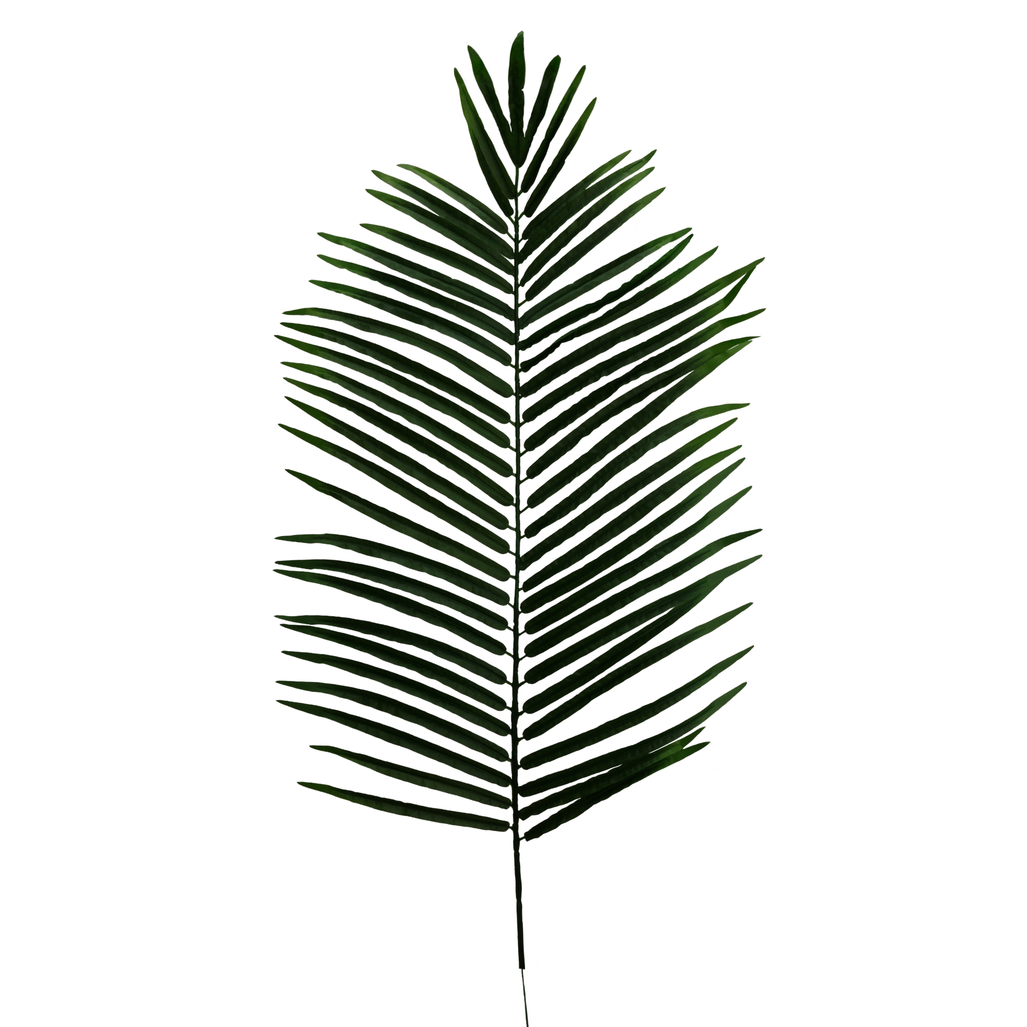 Artificial Feather Palm Leaf - Dark Green