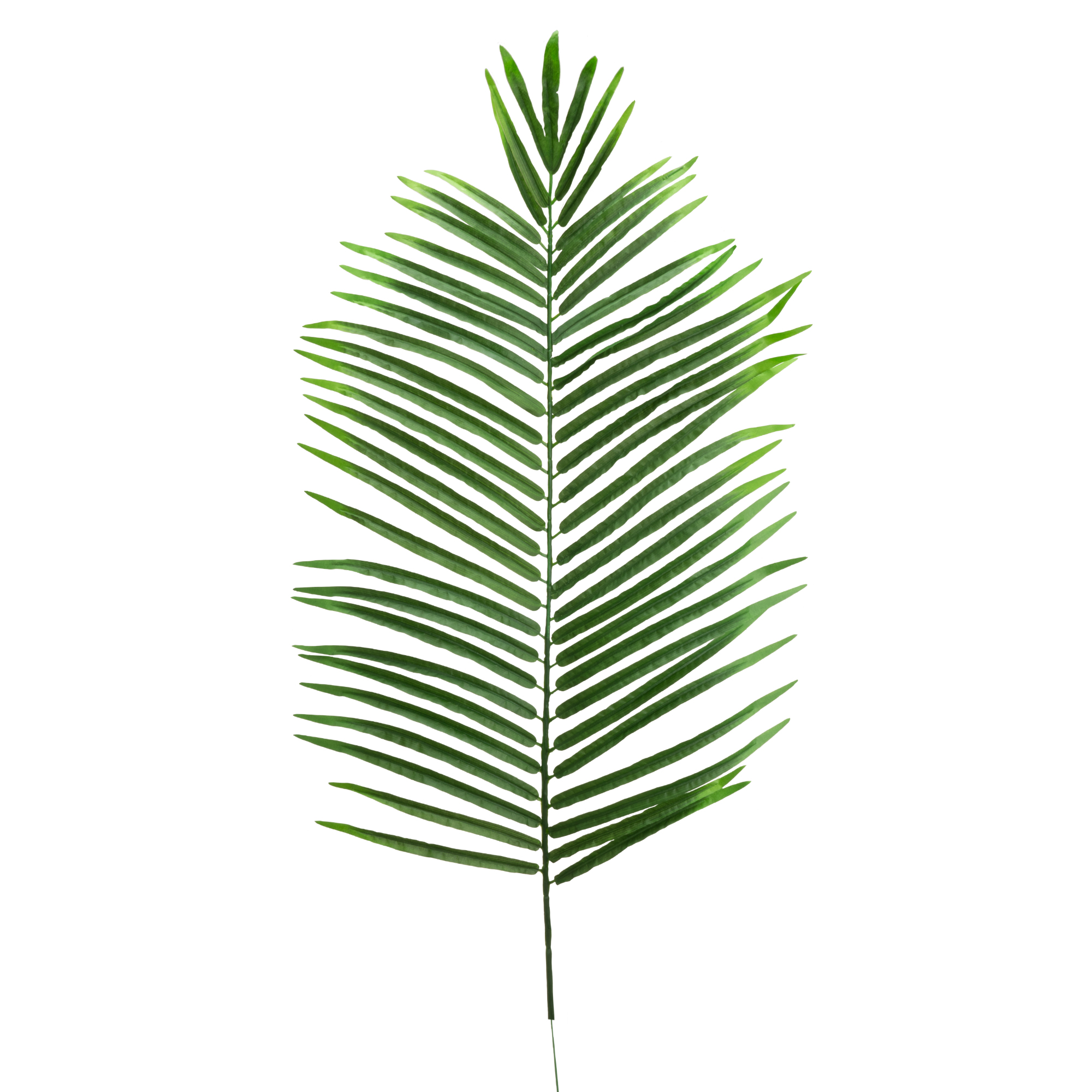Artificial Feather Palm Leaf - Light Green