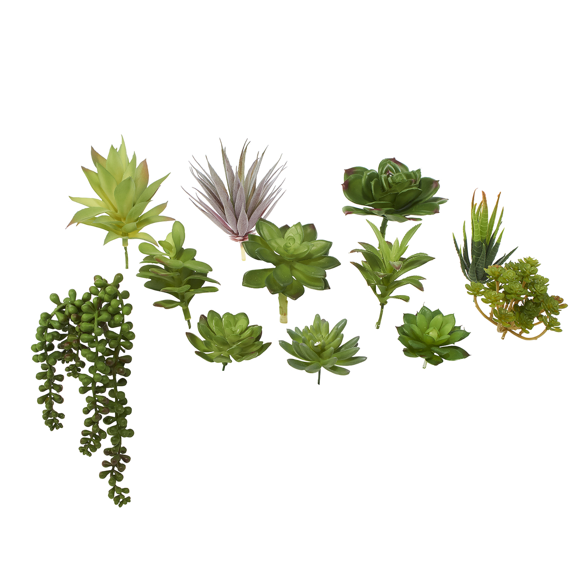 Aritificial Mixed Succulents 12pc/set