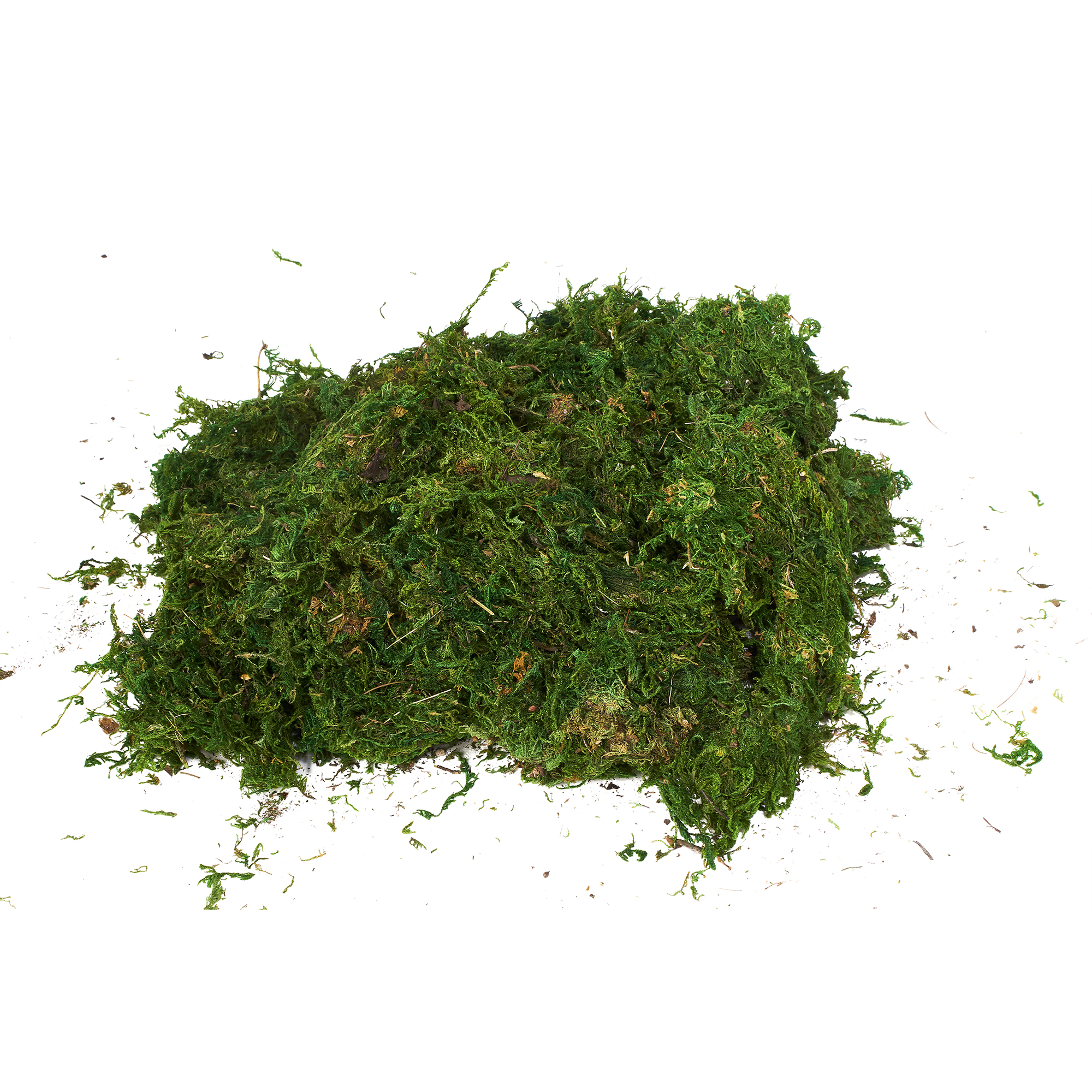 Natural Moss 250g/bag
