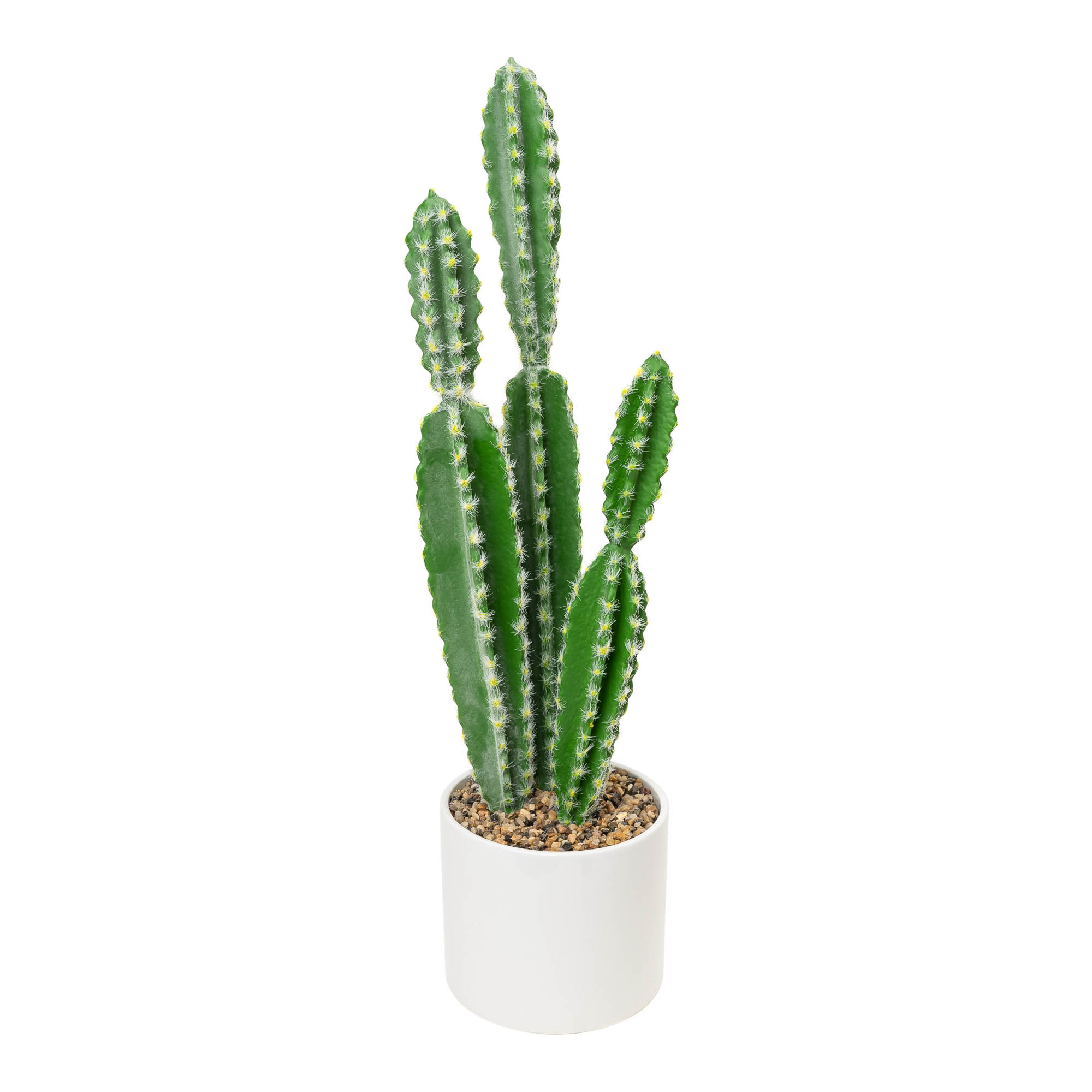 Faux Euphorbia Cactus with Ceramic Pot - 24“