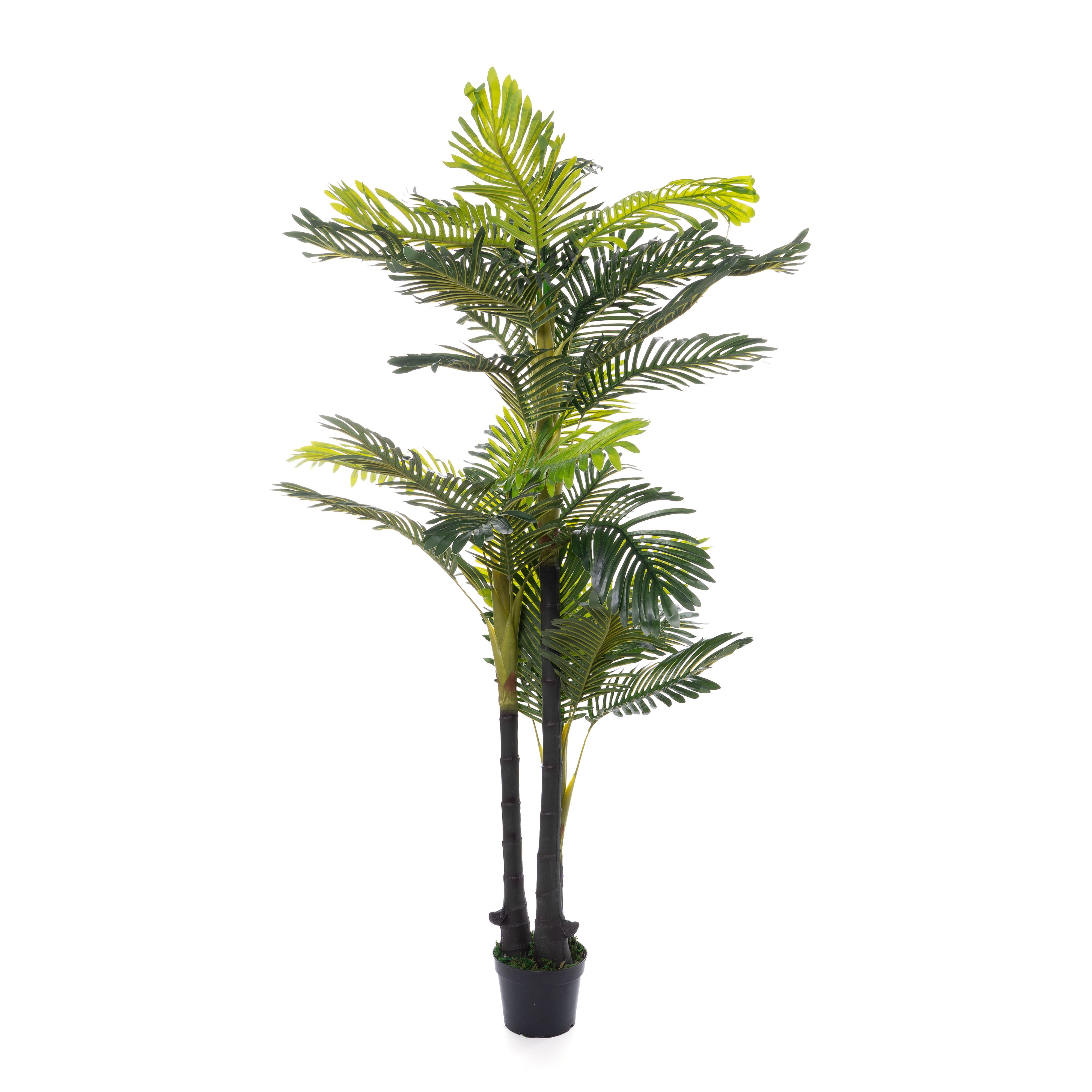 Faux Areca Palm Tree 6ft