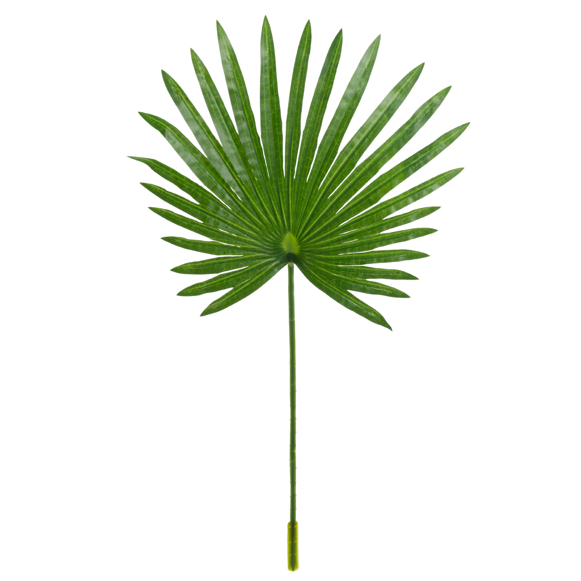 Faux Fan Palm Leaf 25" - Dark Green