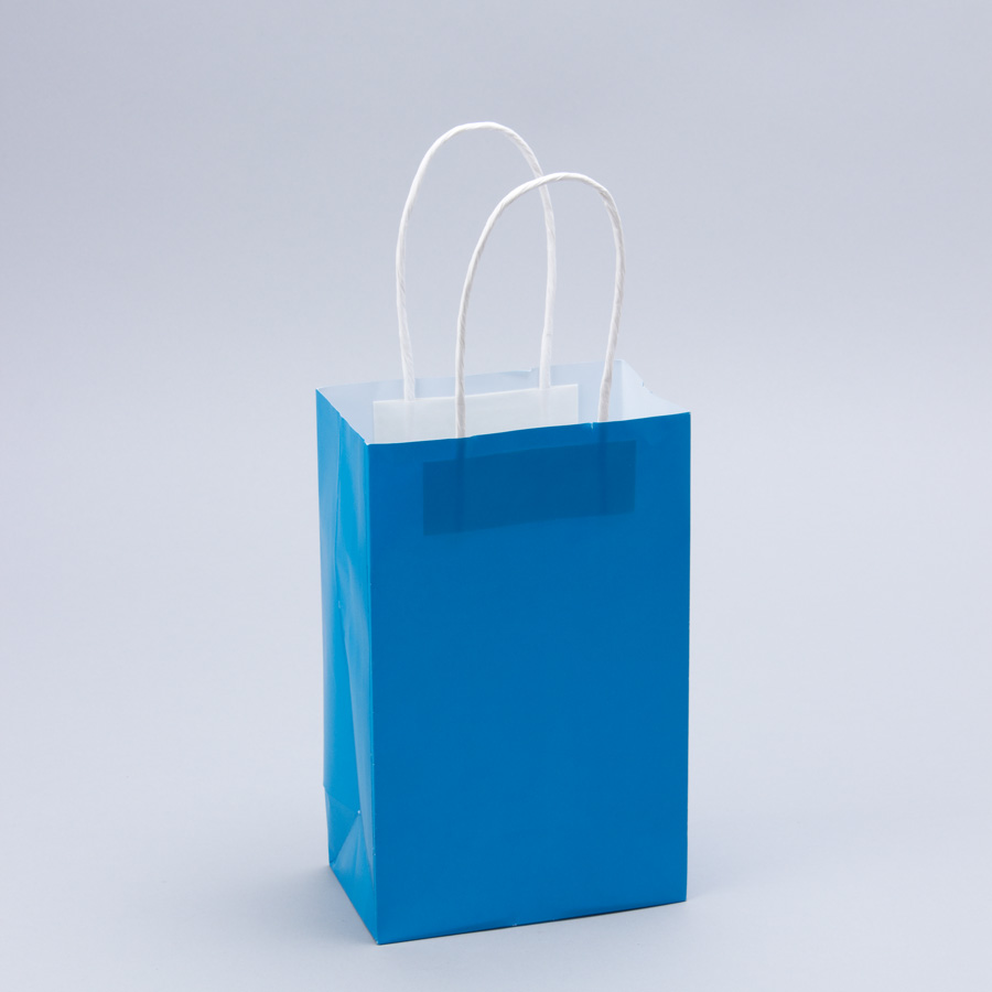 Paper Bags with Handles for Favors & Gifts 8" - Turquoise