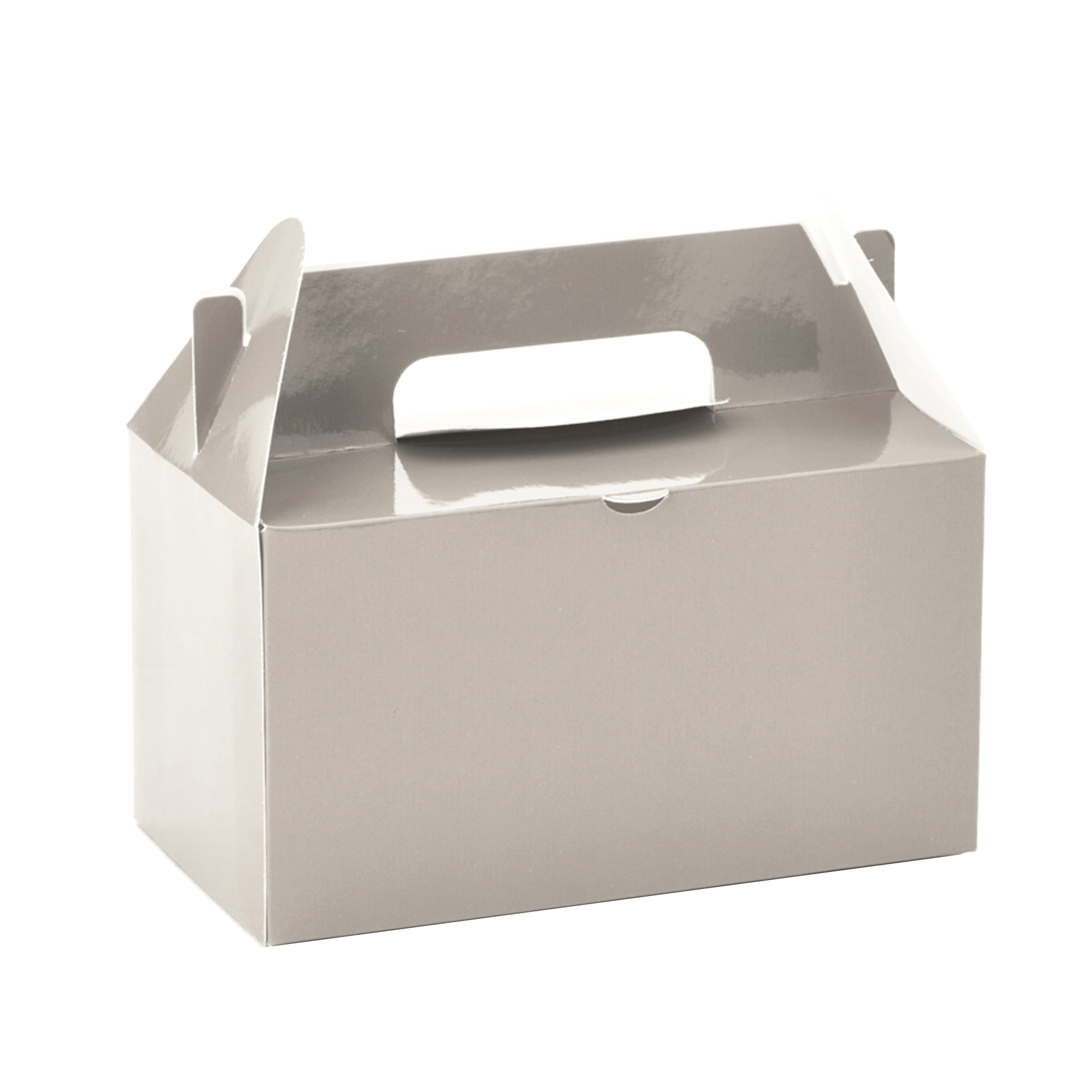 Takeout Box 12pcs/bag - Silver