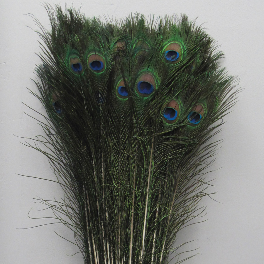 Peacock Feathers 25pc/bag