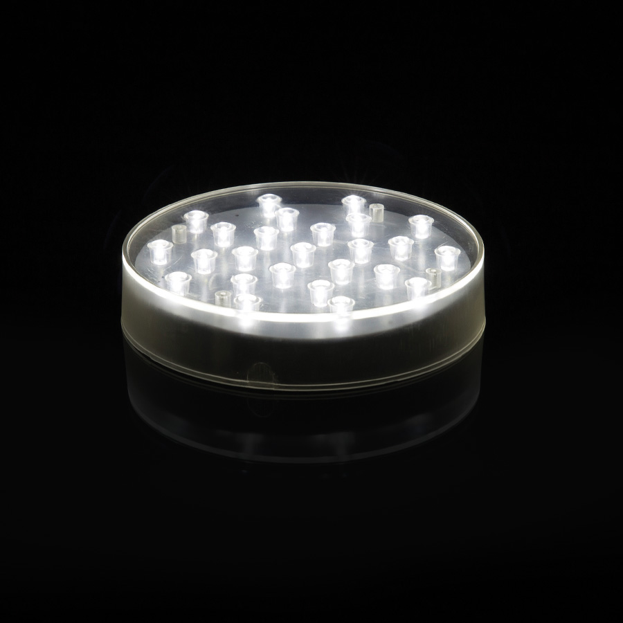 LED 25 Light Clear Base 6" - White