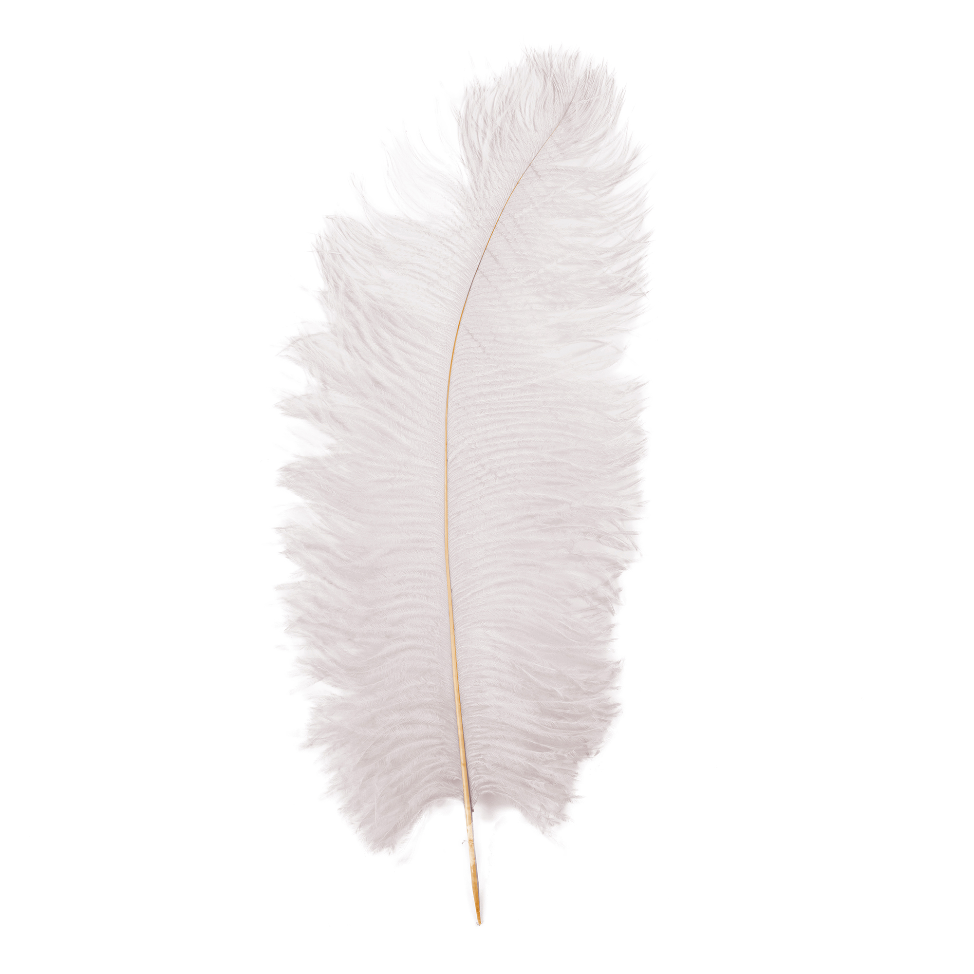 Ostrich Feather 23" 10pc/bag - White