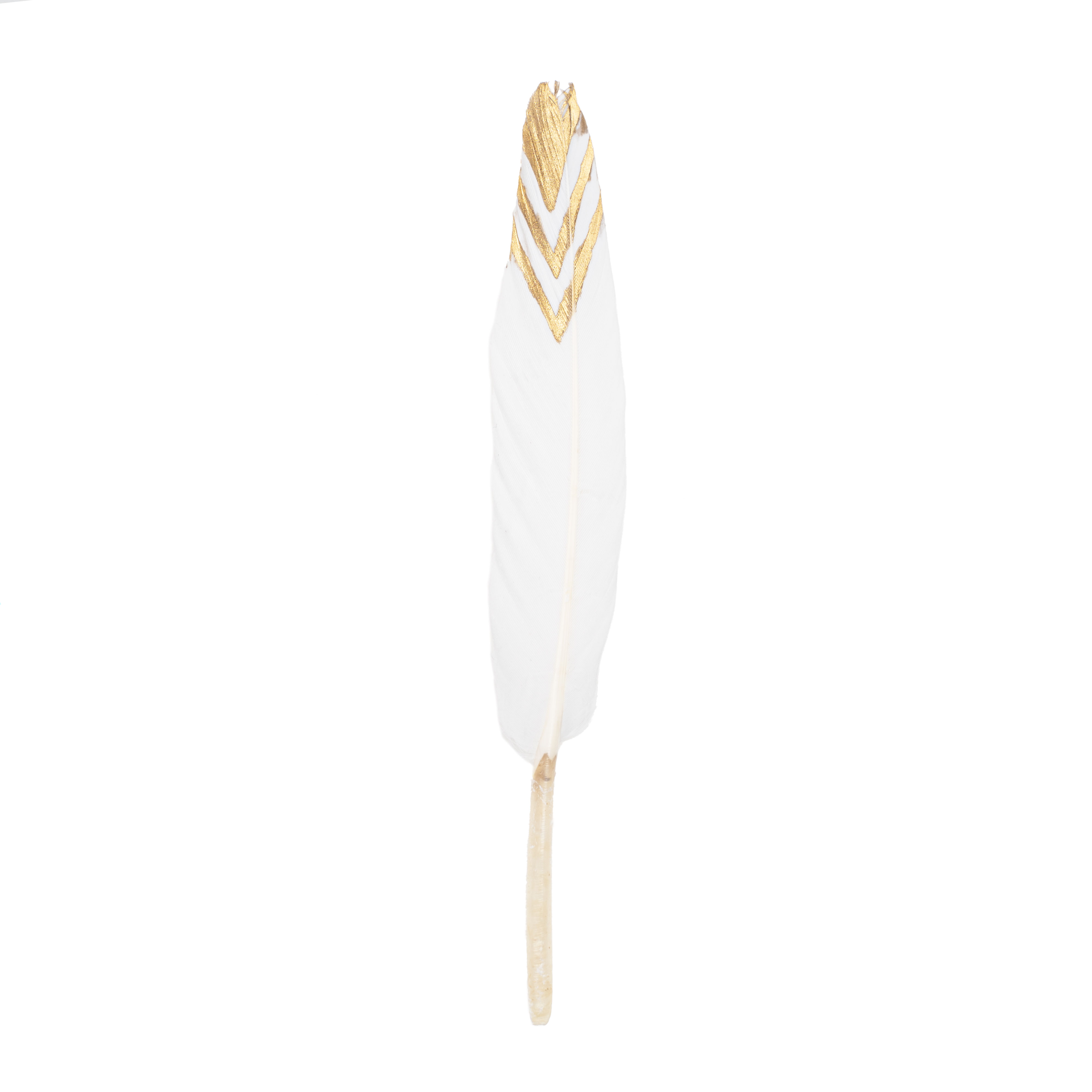 Goose Feathers with Gold Tip 30pc/bag 4½" - 6½" - White