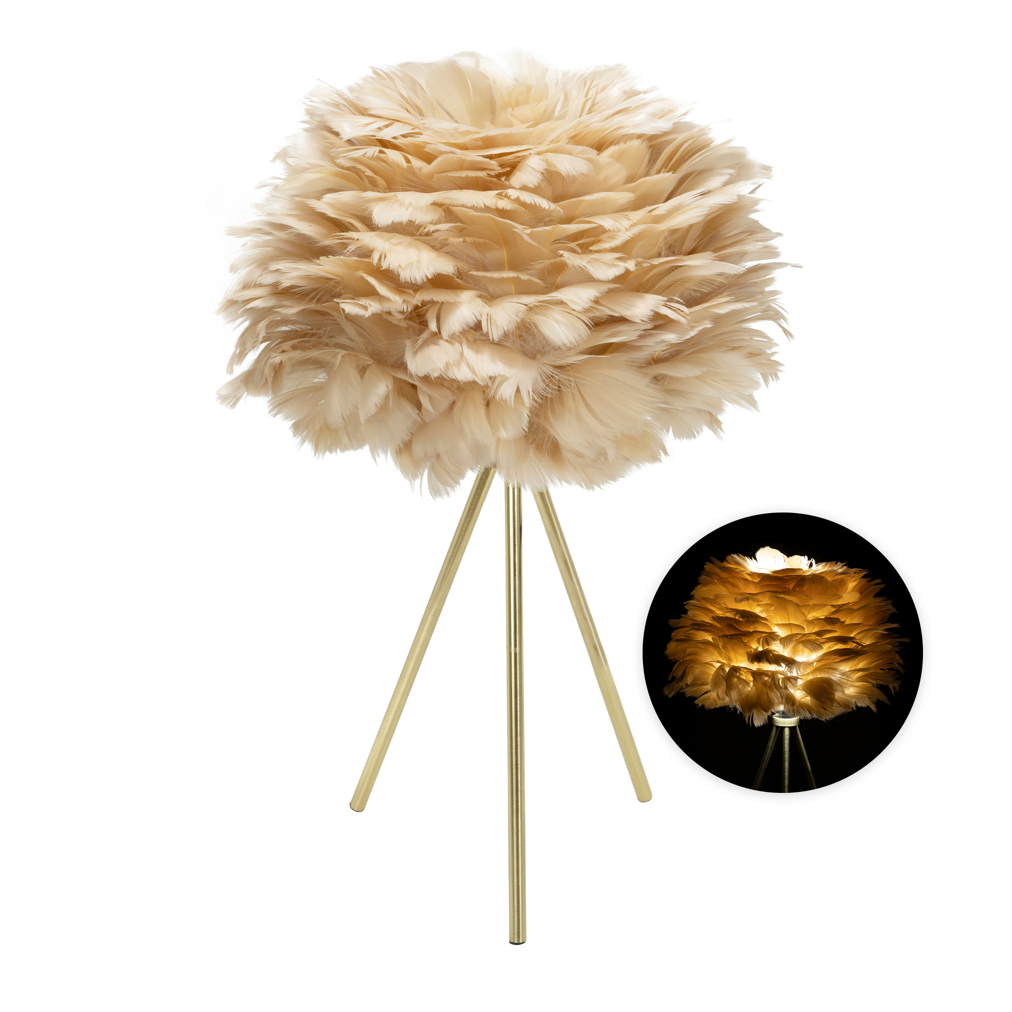 Feather Lamp 18" - Champagne