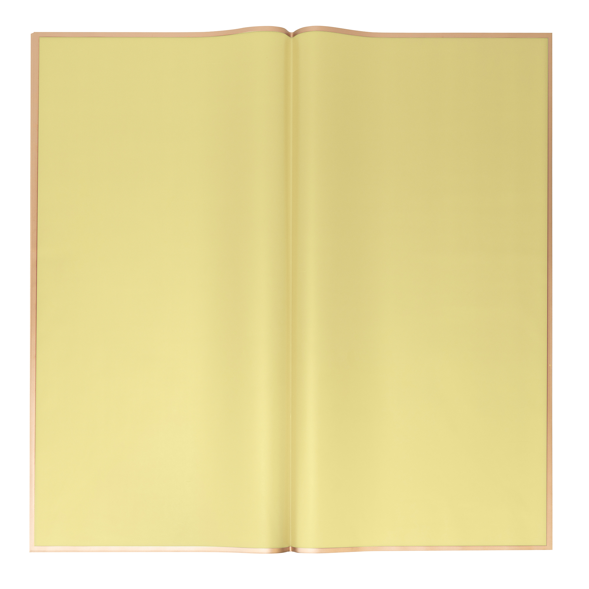 Floral Wrapping Paper With Gold Edge 20pc/pack  - Yellow