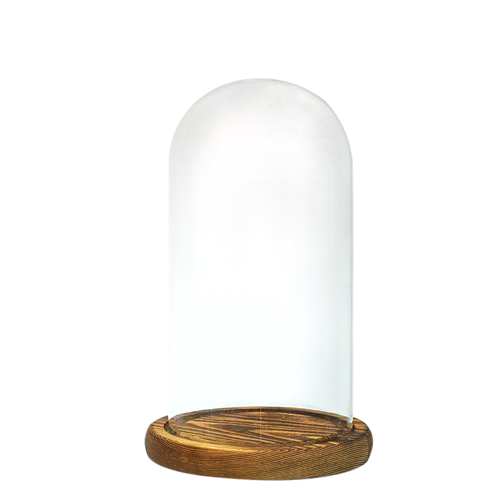 Glass Dome with Wood Base 8½"