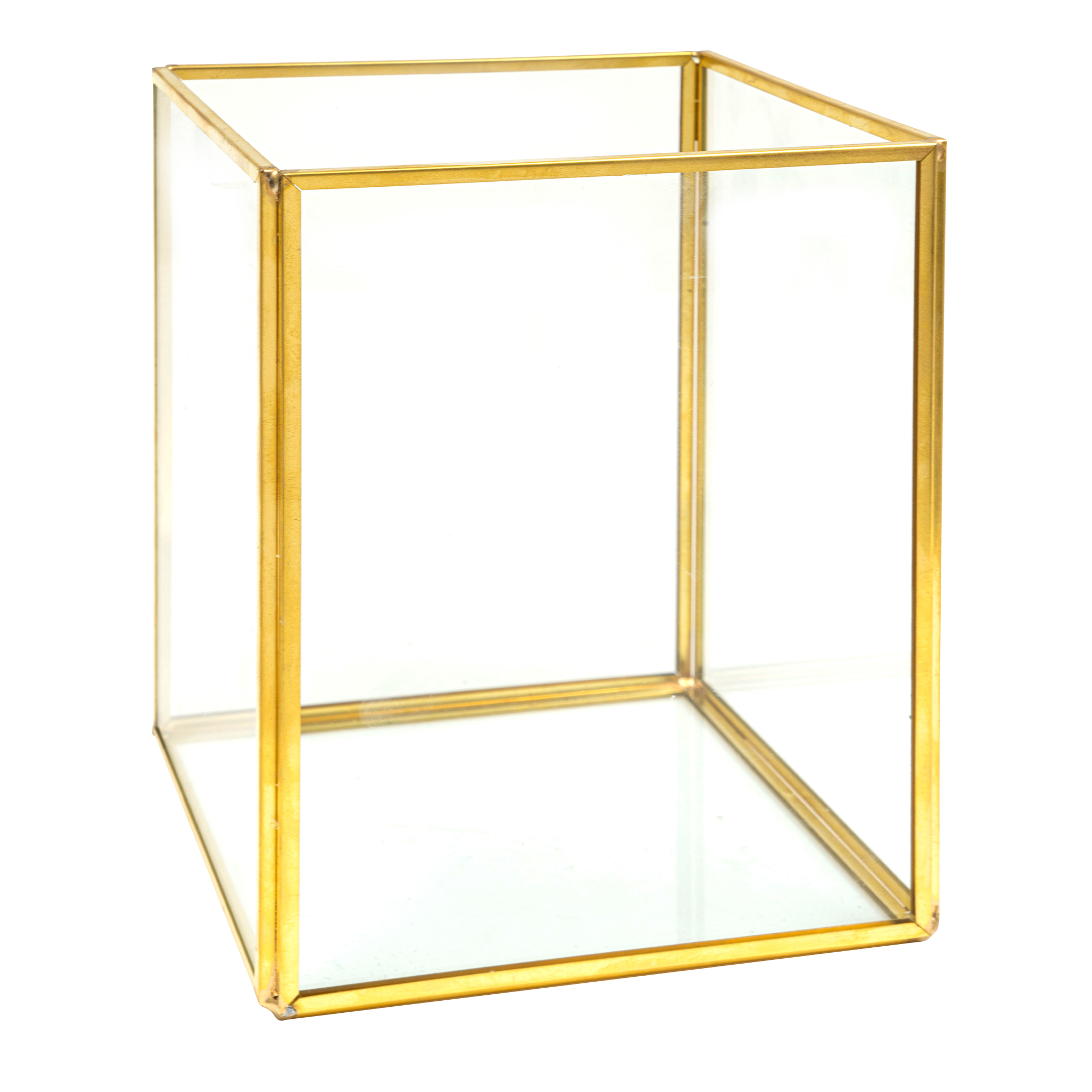 Rectangular Terrarium Display 6" - Gold